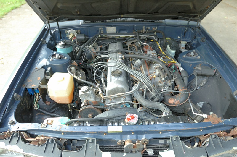 Nissan maxima turbo diesel